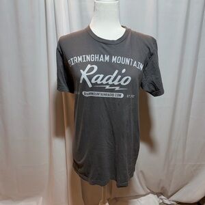 American Apparel Gray Graphic Tee